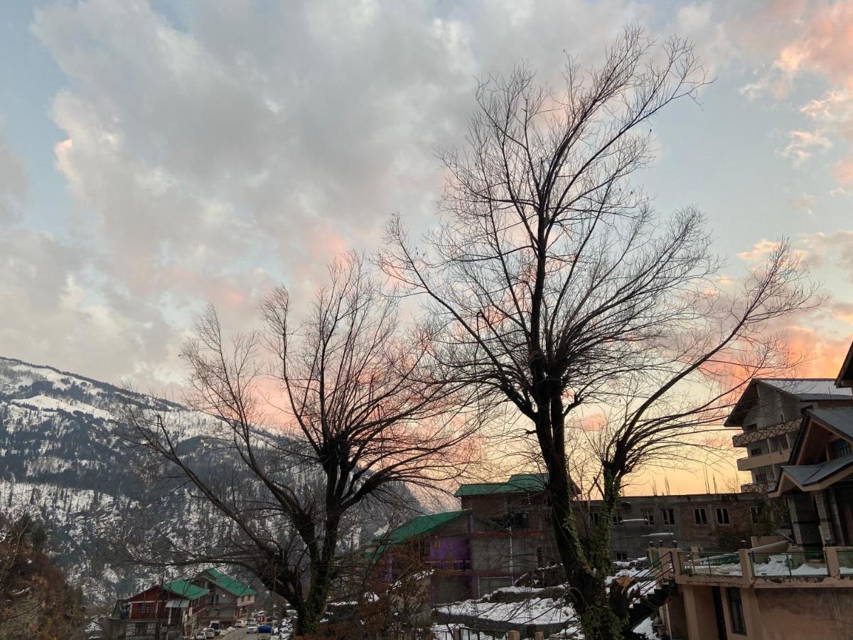 Solang Valley Resort Manāli Eksteriør bilde