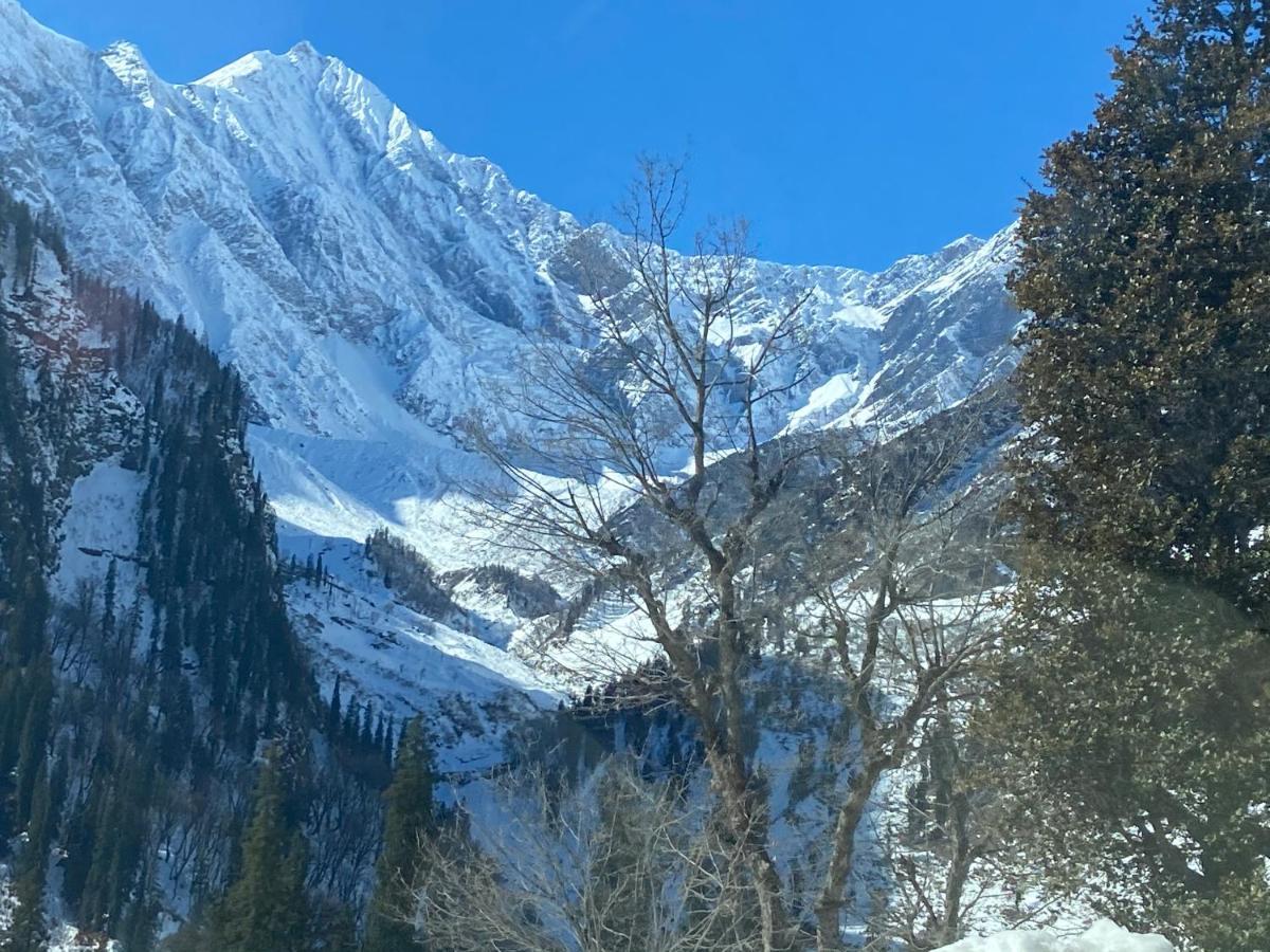 Solang Valley Resort Manāli Eksteriør bilde