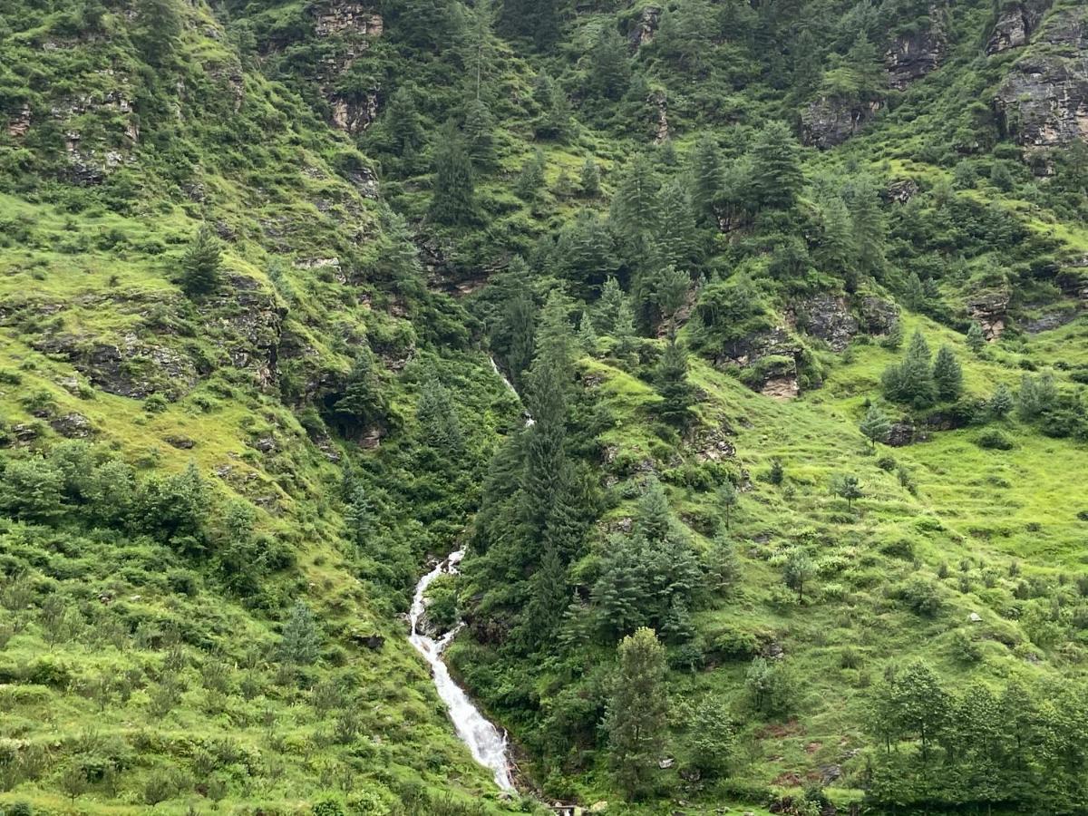 Solang Valley Resort Manāli Eksteriør bilde