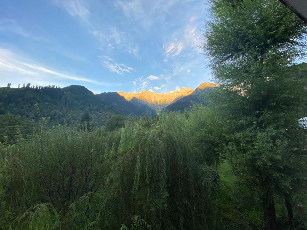 Solang Valley Resort Manāli Eksteriør bilde